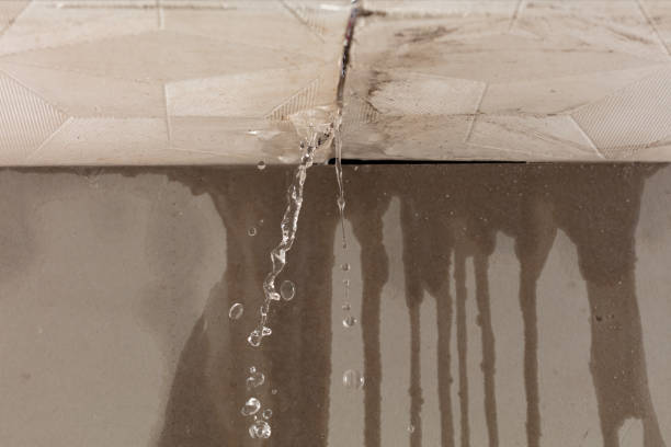 Professional Structural Drying technician working in Atkinson, IL